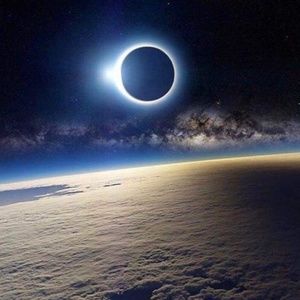 Meet your Posher, Bridget